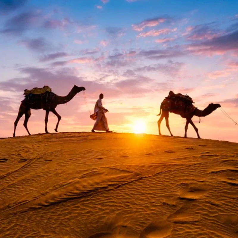 about rajasthan tours