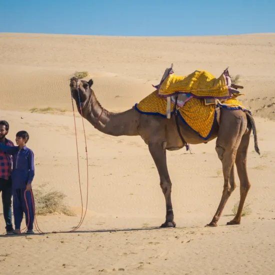 jaisalmer desert