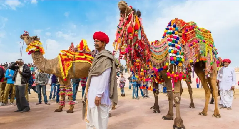 pushkar camel fair